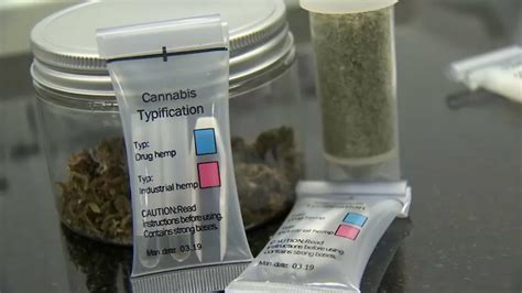 virginia marijuana testing